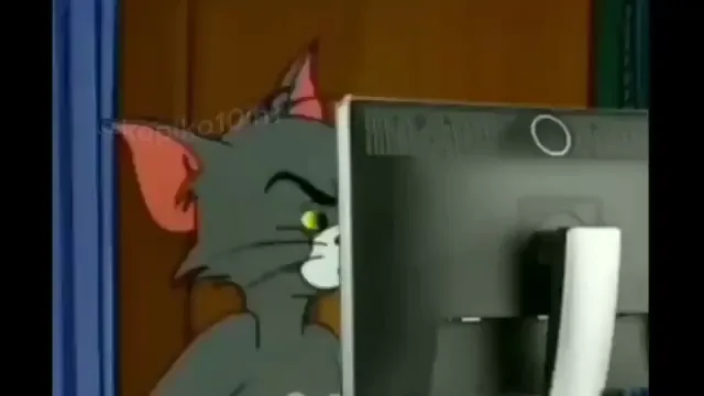 Video: Tom the cat leans in and squints suspiciously at a computer monitor, the classic "Tom checking the screen" reaction clip